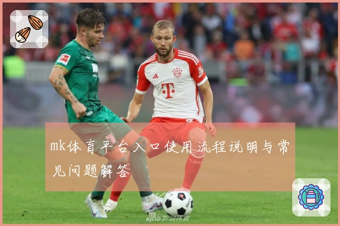 mk体育平台入口使用流程说明与常见问题解答